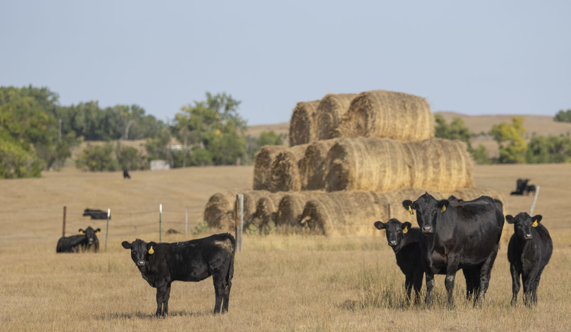 091621-drought-005.JPG